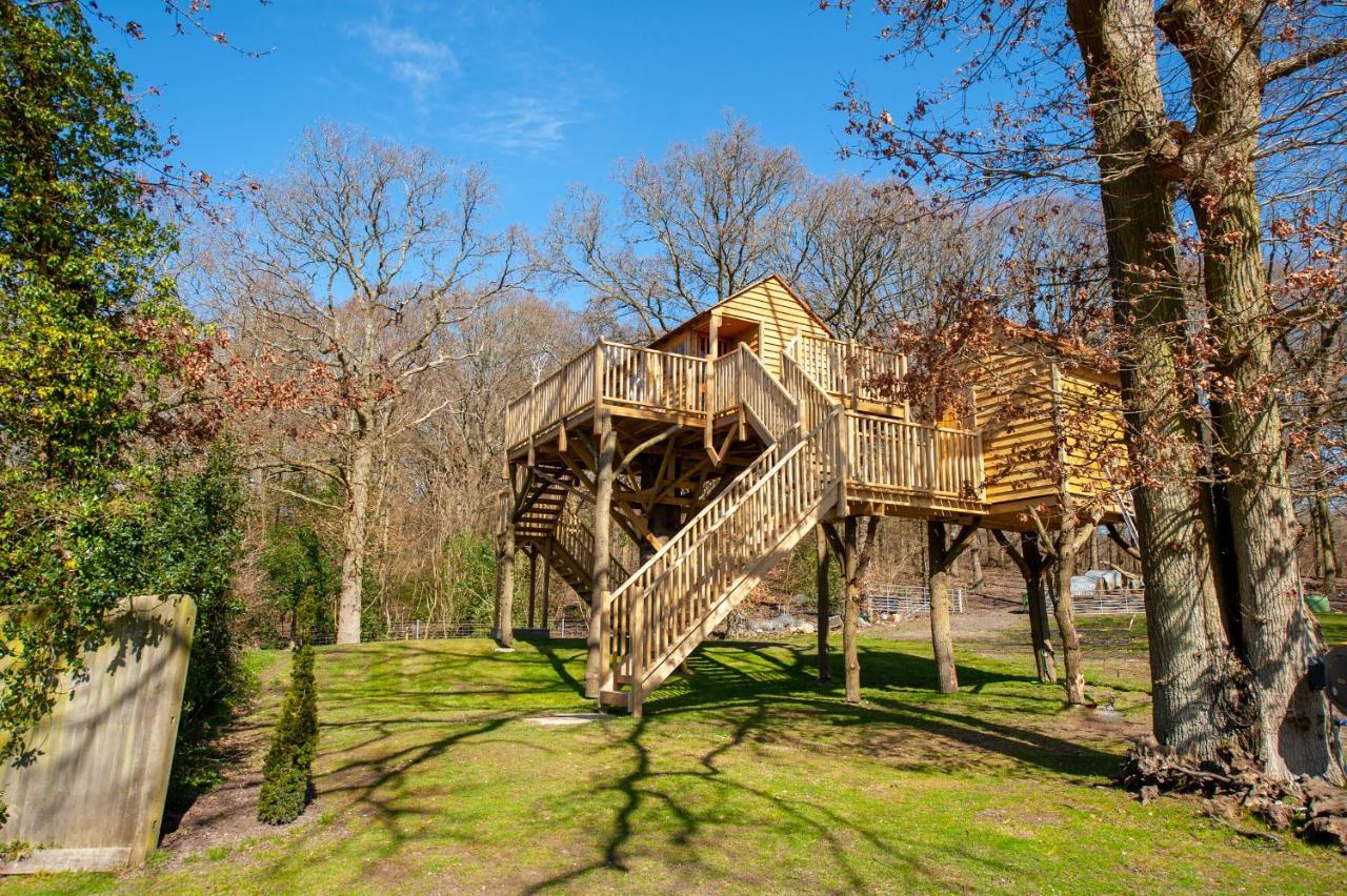 Oakside Tree Tops كانتربيري المظهر الخارجي الصورة