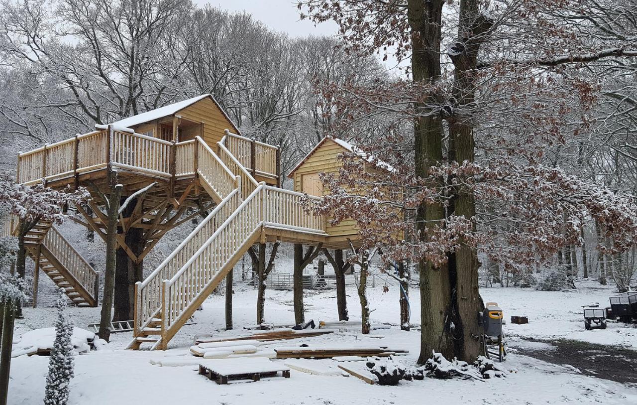 Oakside Tree Tops كانتربيري المظهر الخارجي الصورة
